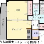 S1 MOTOHARA 画像1